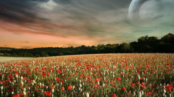 发现孩子走丢的那一刻，你是什么心情？